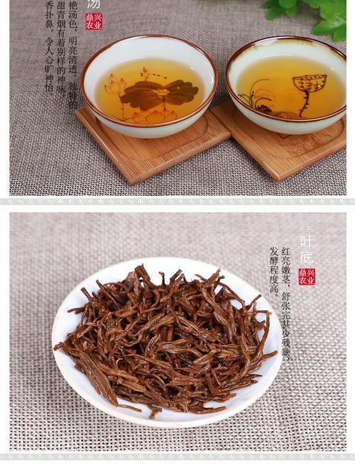 品位武夷正韵 福建武夷山桐木关特级黄芽金骏眉礼盒